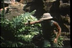 Captura de 'Ginger Lynn's Tropical Nights' nº 45