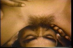 Captura de 'Ginger Lynn's Tropical Nights' nº 85