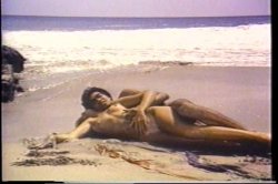 Captura de 'Ginger Lynn's Tropical Nights' nº 94