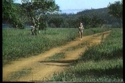 Captura de 'Ginger Lynn's Tropical Nights' nº 95
