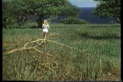 Captura de 'Ginger Lynn's Tropical Nights' nº 96
