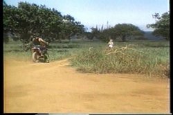 Captura de 'Ginger Lynn's Tropical Nights' nº 97
