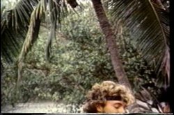 Captura de 'Ginger Lynn's Tropical Nights' nº 130