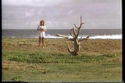 Captura de 'Ginger Lynn's Tropical Nights' nº 2