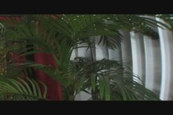 Captura de 'Mondo Extreme 84' nº 50