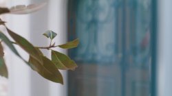 Captura de 'Party Of Two' nº 2