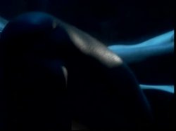 Captura de 'Heat Vol. 1' nº 35