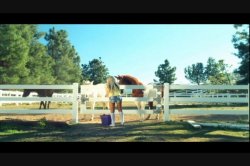 Captura de 'Grindhouse XXX: A Double Feature' nº 78