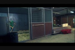 Captura de 'Grindhouse XXX: A Double Feature' nº 80
