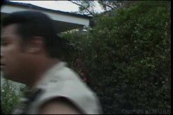 Captura de 'Big Boob Bangeroo 10' nº 50
