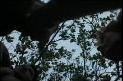 Captura de 'Big Boob Bangeroo 10' nº 73