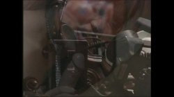 Captura de 'Chock Full Of Asians 7' nº 62