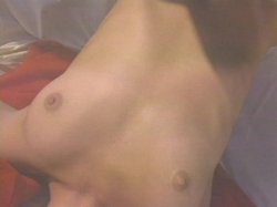 Captura de 'Dirty DDD Christy Canyon' nº 114