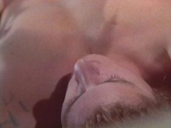 Captura de 'Dirty DDD Christy Canyon' nº 134