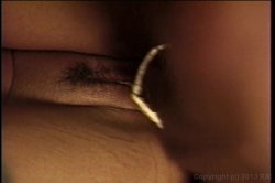 'Black Cherry Coeds 5' screenshot nº 54
