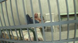 'Il Mio Prinmo Anal' screenshot nº 67