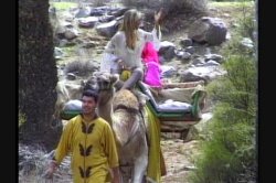 'Queen of the Elephants 2: Sahara' screenshot nº 97