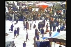 'Queen of the Elephants 2: Sahara' screenshot nº 24