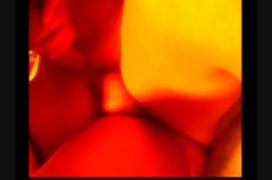 'Kinky Sex Sampler' screenshot nº 62