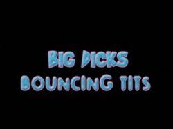 Captura de 'Big Dicks Bouncing Tits' nº 2