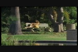 Captura de 'Victim of Love' nº 60