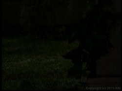 Captura de 'Mary Carey Rules! 2' nº 36