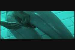 Captura de 'Sex Maniax' nº 111