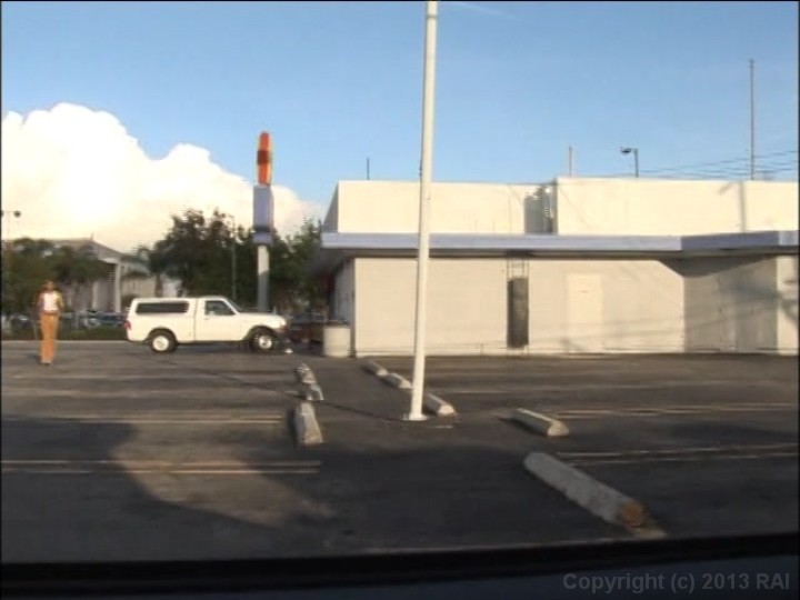 Hot Black Chick with Flava