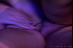 Captura de 'Best Butt in the West 6' nº 52