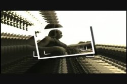 Captura de 'Chasing The Big Ones 11' nº 1