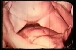 Captura de 'Candy Samples Triple Feature' nº 75