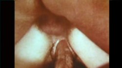 Captura de 'Swedish Erotica 448 - Seka's Kinky Party' nº 21