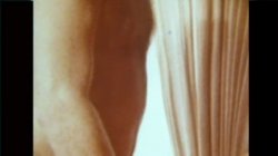 Captura de 'Swedish Erotica 448 - Seka's Kinky Party' nº 22