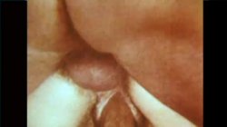 Captura de 'Swedish Erotica 448 - Seka's Kinky Party' nº 26