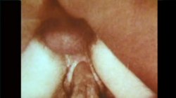 Captura de 'Swedish Erotica 448 - Seka's Kinky Party' nº 30