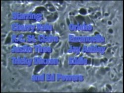 'Real Naturals 6' screenshot nº 2