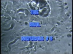'Real Naturals 6' screenshot nº 1