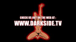 'Black Porn Stars 3' screenshot nº 1