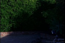 'Attitude' screenshot nº 40