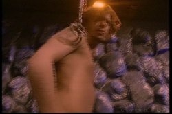Captura de 'Hothouse Rose' nº 101