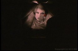 Captura de 'Hothouse Rose' nº 25