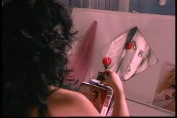 Captura de 'Hothouse Rose' nº 27