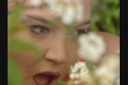 'Sins of the Flesh' screenshot nº 13