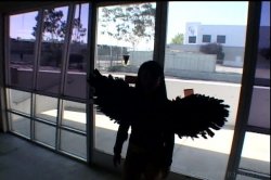 'Sakura Angel' screenshot nº 85