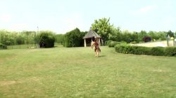 'Summer Sex Fantasies' screenshot nº 9
