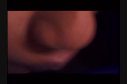 'Diary of a Mad Porn Director' screenshot nº 3