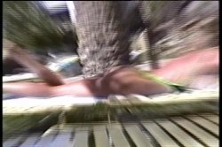 Captura de 'Buttman's Bend-Over Babes 3' nº 11