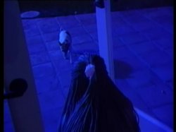'Babewatch 5' screenshot nº 139