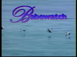 'Babewatch 5' screenshot nº 3