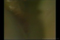 'World's Biggest Tits Vol. 1' screenshot nº 20